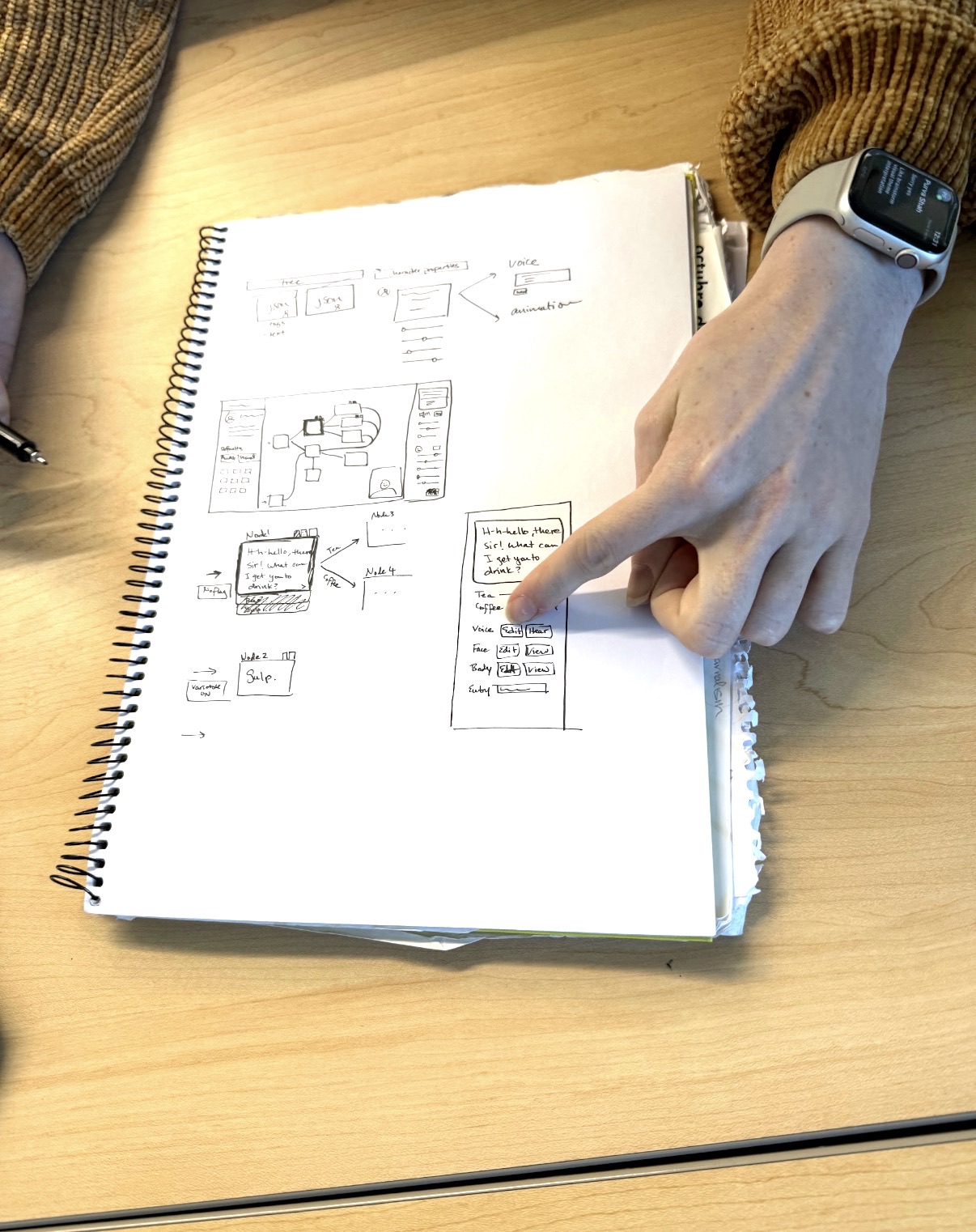 Reviewing a student’s interface sketches